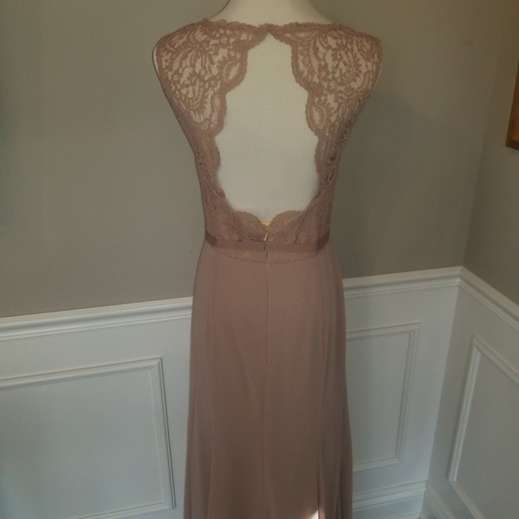 Nwt Sample Sale - Dessy Collection Open Back Gown